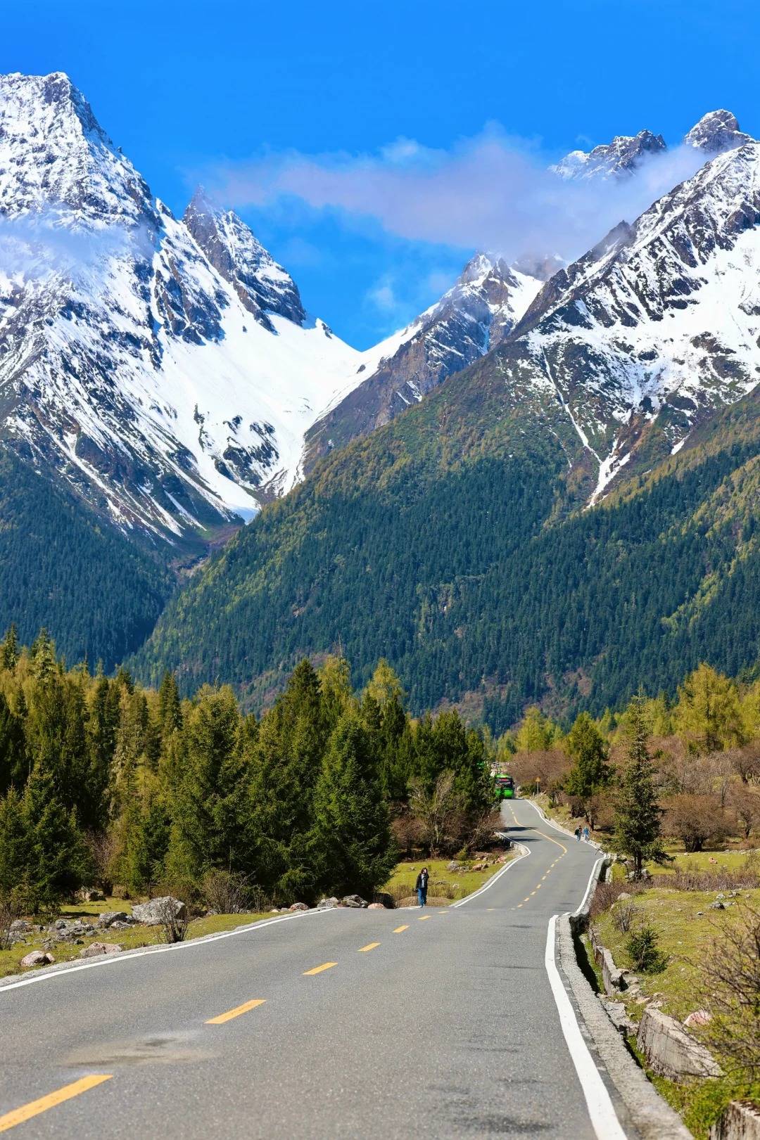 Yading Forest Scenic Drive – Travel to China’s Last Shangri-La Driving through the forest road of Daocheng Yading with snow mountains and pine trees in western China
