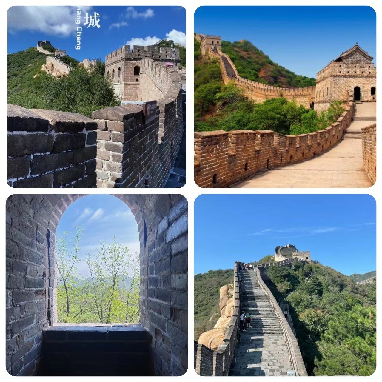 微信图片_20250509143922