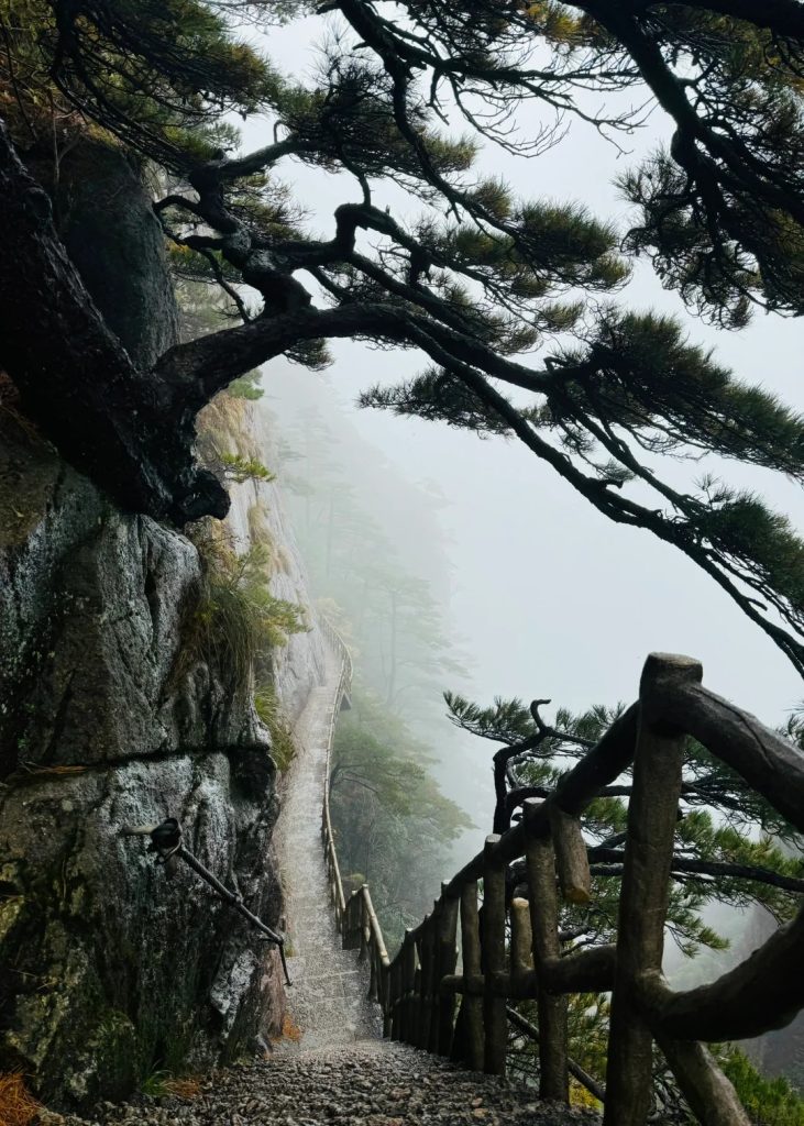 A dizzying walkway carved into the cliffside in the West Sea Grand Canyon—this trail offers the most breathtaking views in Mount Huangshan, ideal for adventurous hikers.