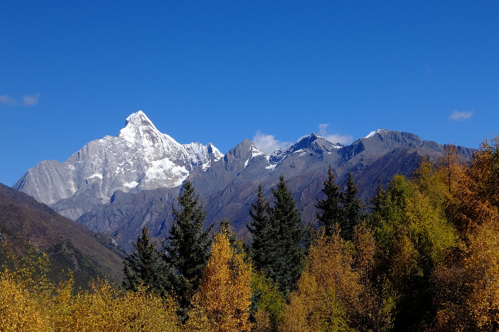 中国四川四姑娘山，湛蓝的天空下，白雪覆盖的山峰耸立在高山森林之上。