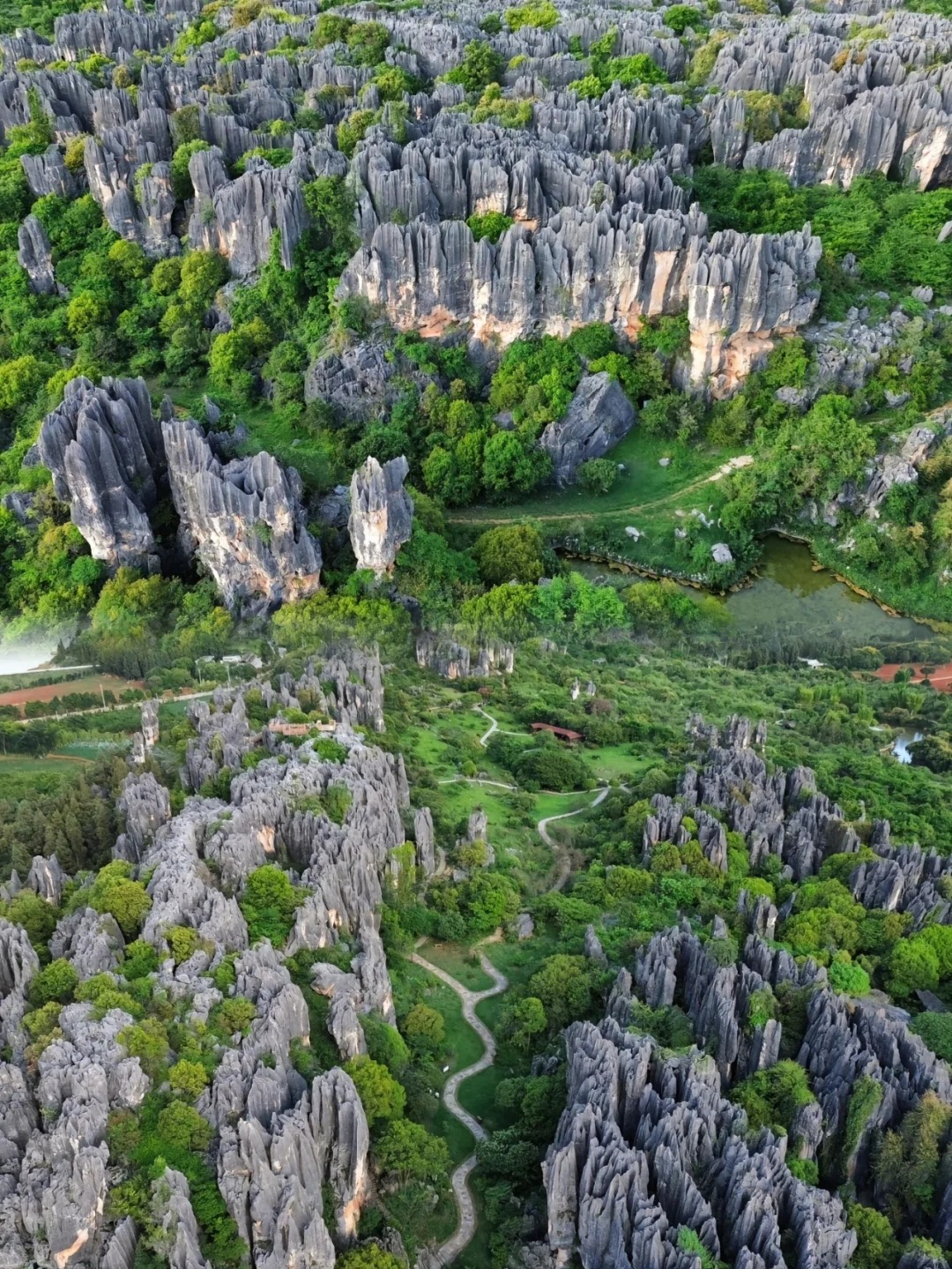 Shilin Stone Forest in Yunnan, China — towering limestone pillars — one of China’s top natural wonders — PandaPower Travel