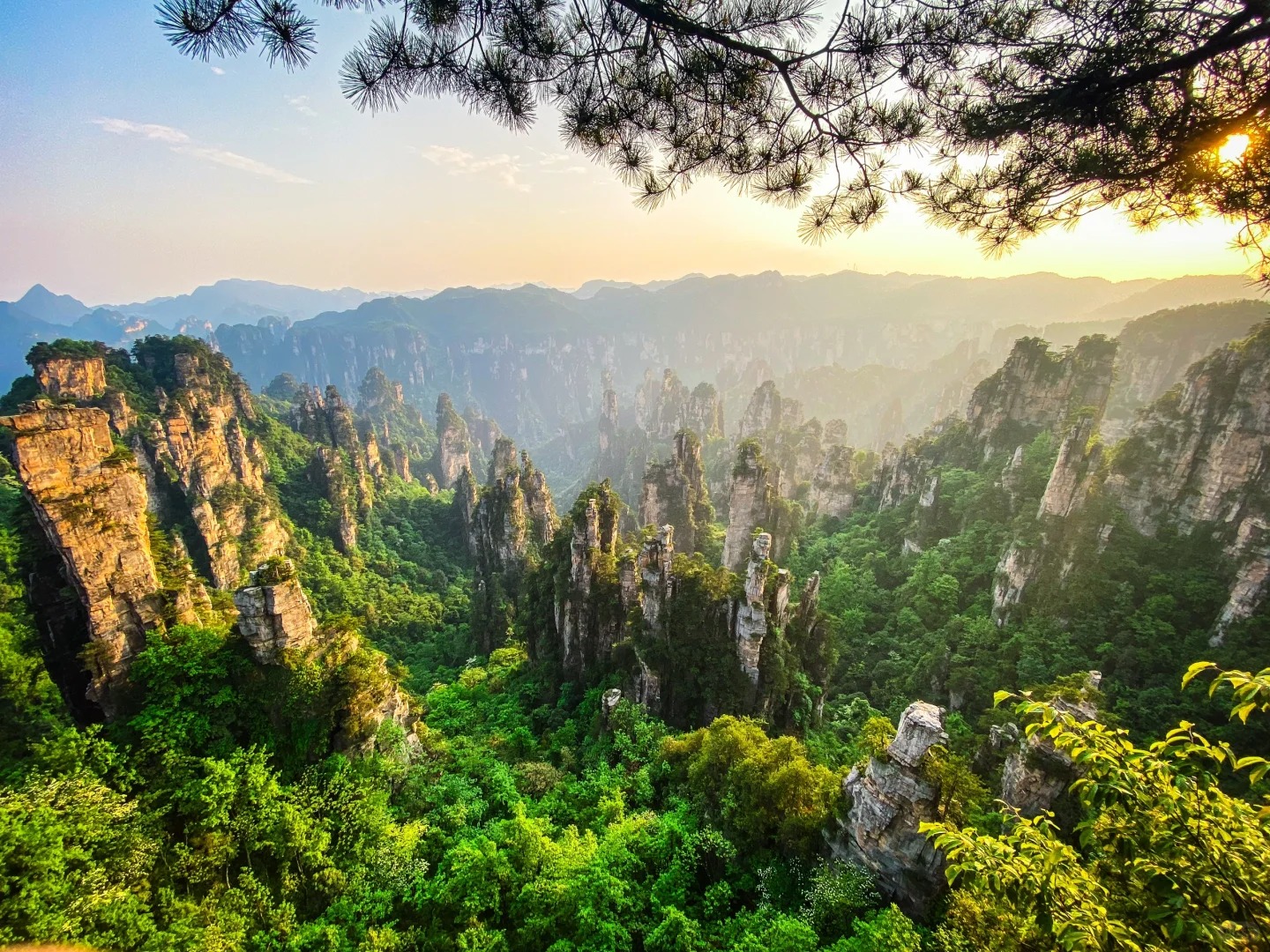Zhangjiajie National Forest Park — sandstone pillar landscape, one of China’s top natural wonders — PandaPower Travel