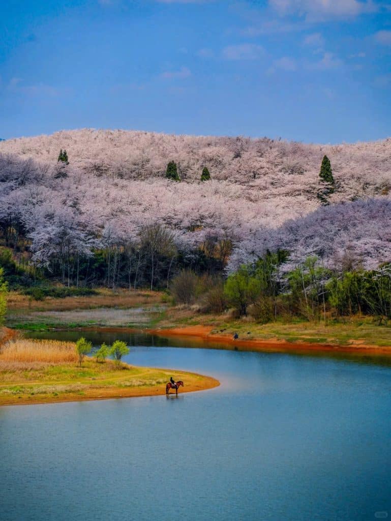 Guizhou Private Tours | Travel Guide & Custom Itinerary Ideas