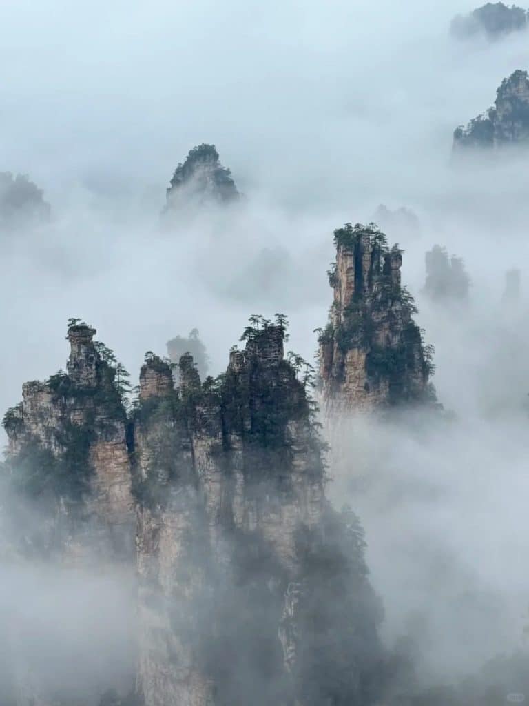 Misty Zhangjiajie sandstone pillars for a nature-focused family China tour