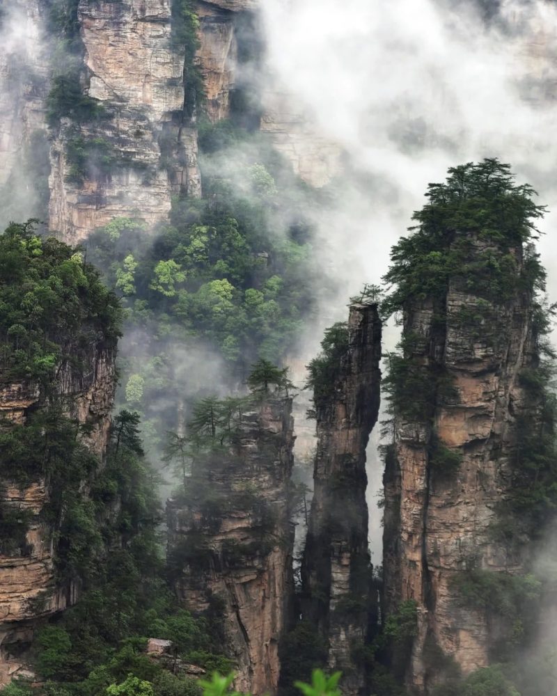 Tree-covered sandstone pillars rising through mist in Zhangjiajie National Forest Park