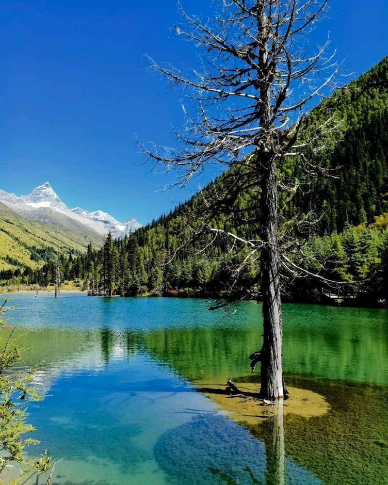 A clear lake reflecting forest and snow-covered peaks in Shuangqiao Valley, Mount Siguniang