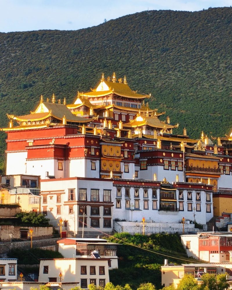 Golden roofs and white walls of Songzanlin Monastery against a green hillside in Shangri-La