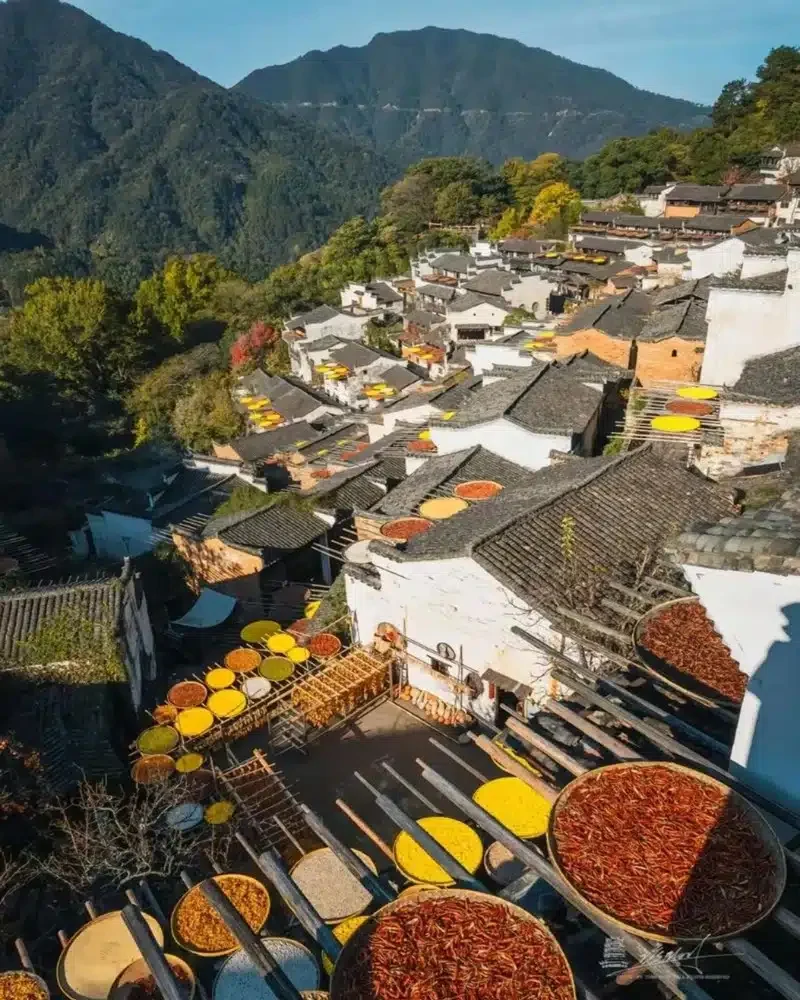 Round drying trays line white-walled houses and dark tiled rooftops on a sunny hillside in Huangling, Wuyuan.