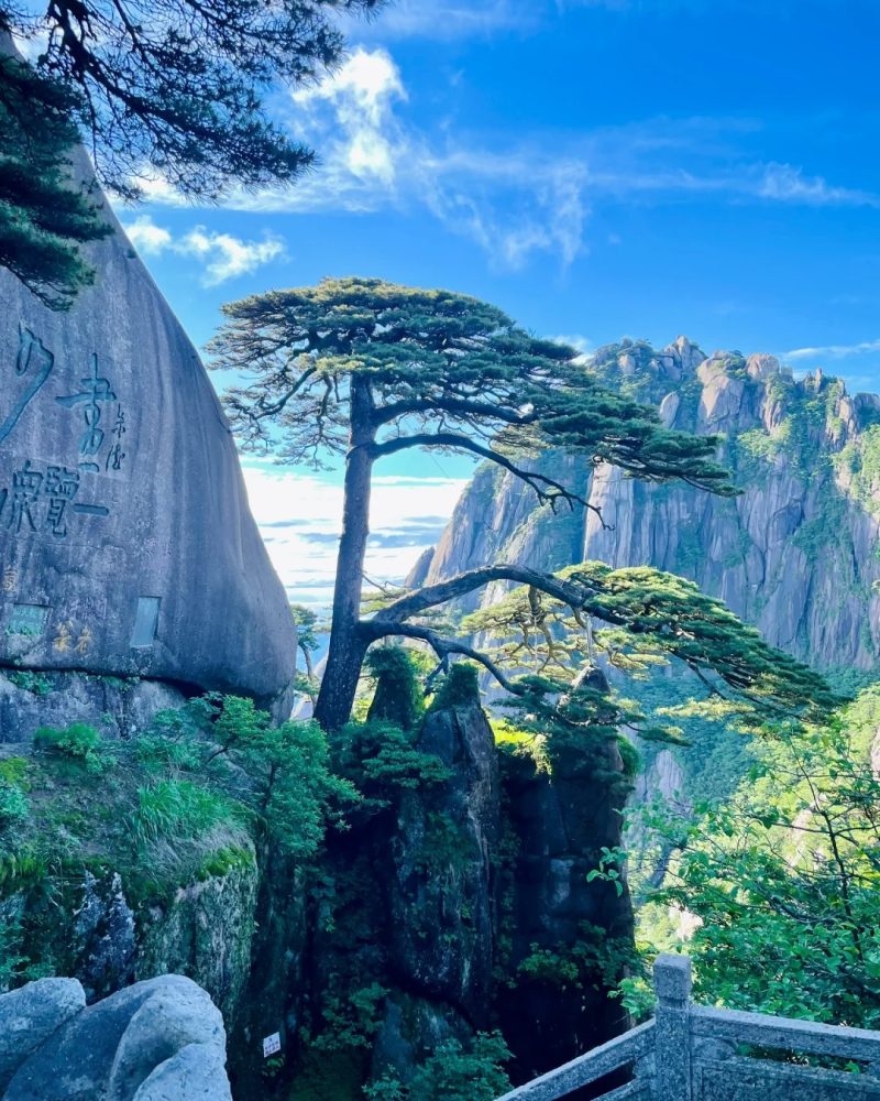 Huangshan (Yellow Mountain) on an Eastern China Private Tour