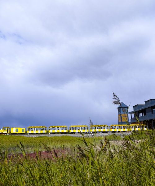 Chaka Salt Lake, Qinghai (7)