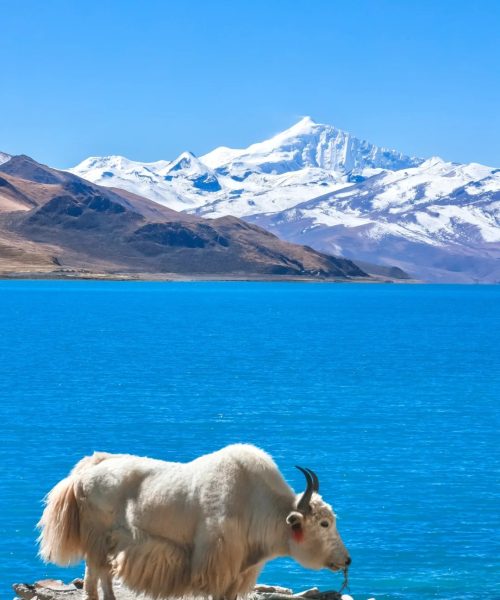 Yamdrok Laketravel