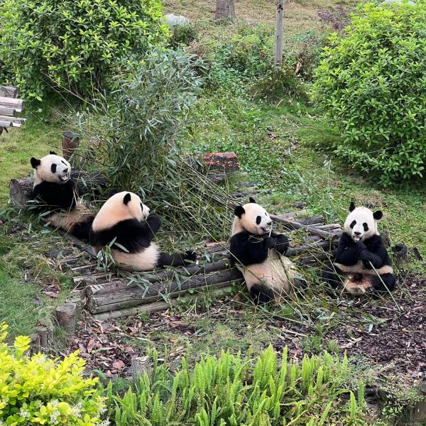 Top China Destinations – Best Places to Visit & Famous Attractions in China