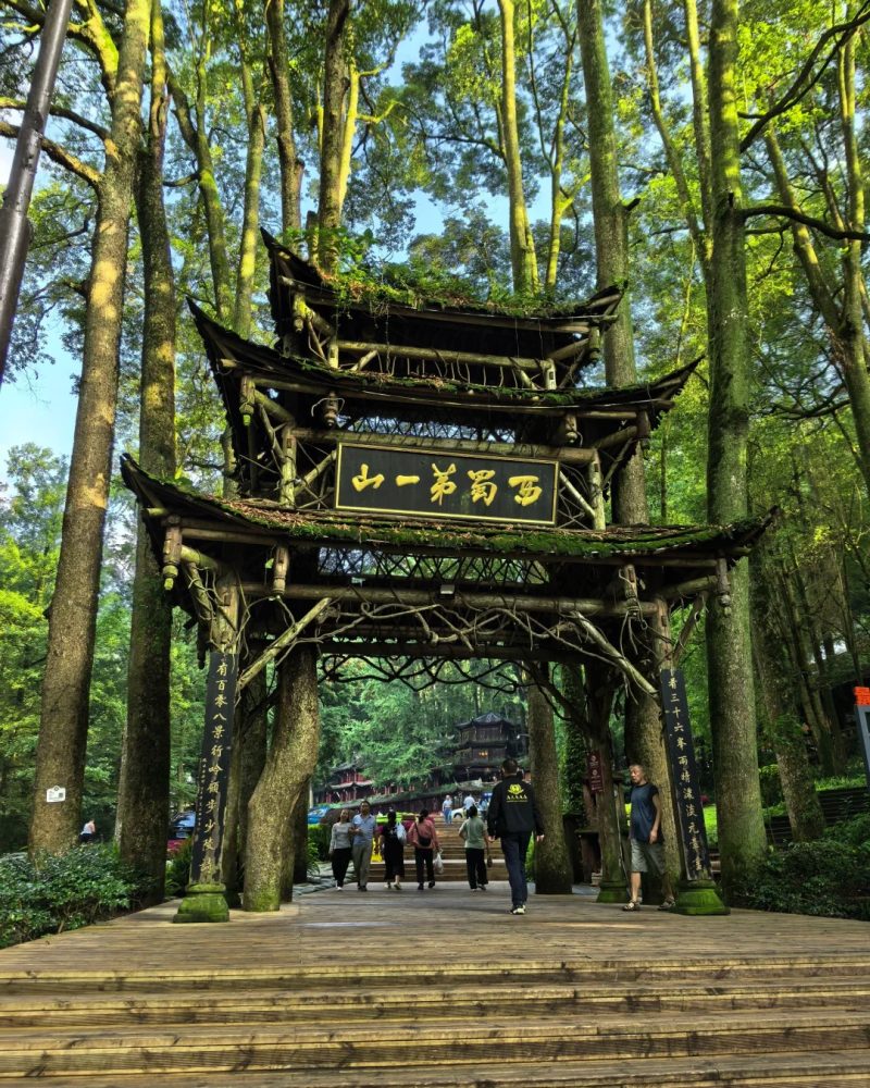 Mount Qingcheng entrance gate surrounded by forest