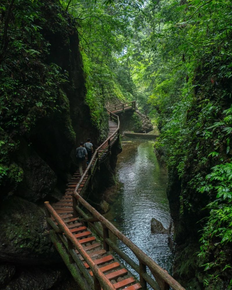 Forest trail on Mount Qingcheng near Chengdu