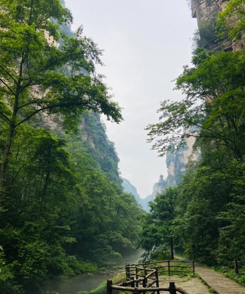 golden-whip-stream-canyon-trail (2)