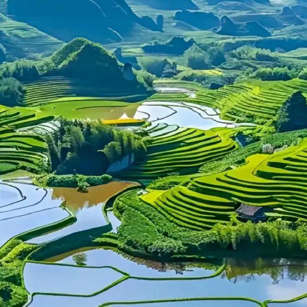 hd_这个夏天一定要去一次桂林-龙胜梯田🌾_1_乐野旅行_来自红小书网页版