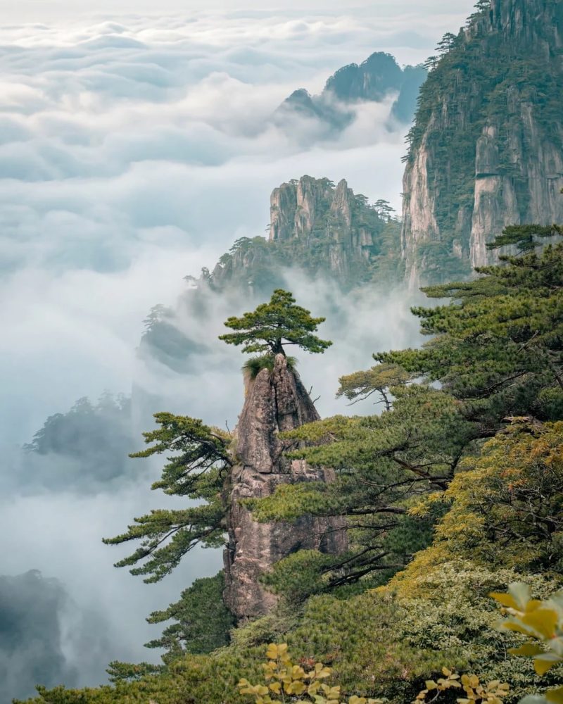 Huangshan Yellow Mountain with clouds, pine trees and granite peaks