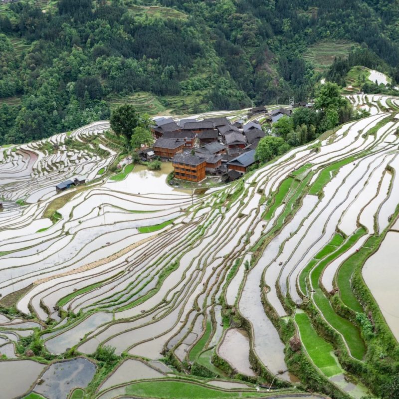 Jiabang Rice Terraces, Guizhou Jiabang Rice Terraces in Guizhou with village houses and layered fields