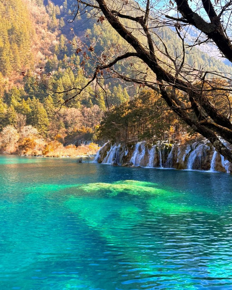Jiuzhaigou alpine lakes on a 30-day private China grand tour