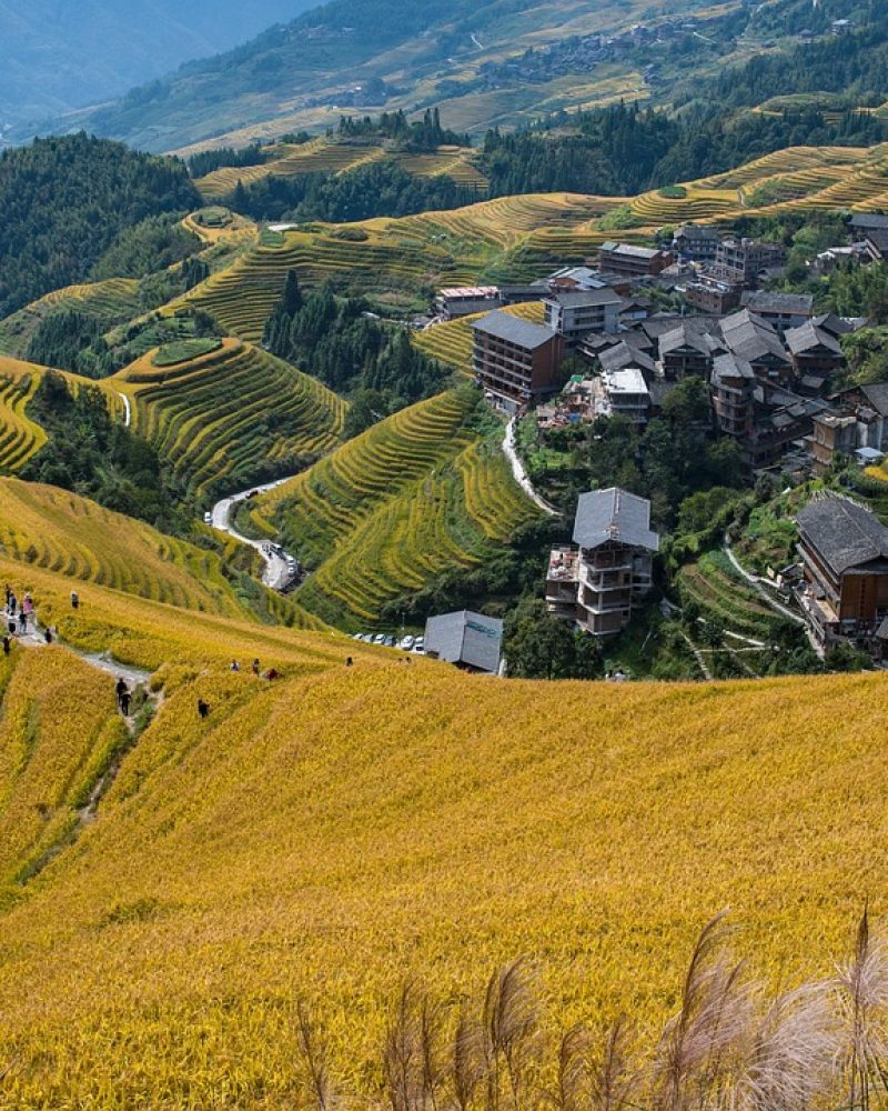 Longji Rice Terraces near Guilin for a 5-day Guilin and Yangshuo private tour