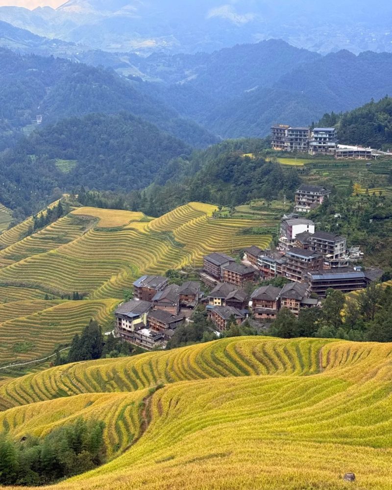Longji Rice Terraces, Longsheng