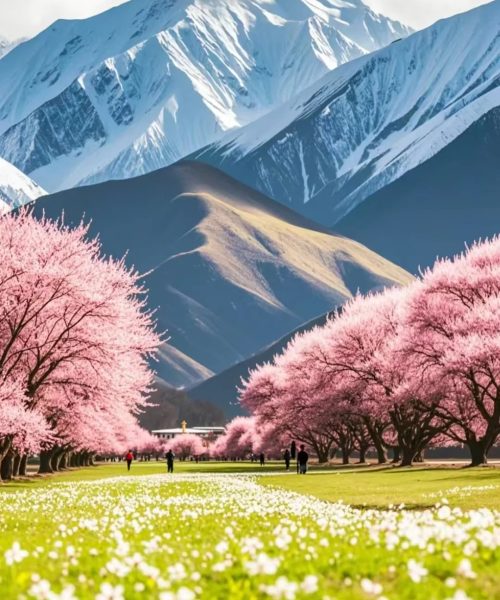 tibet-nyingchi-peach-blossom-valley