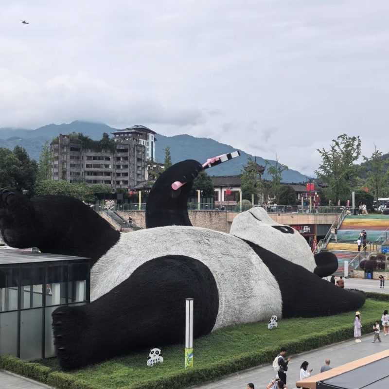 Chengdu Private Tours Travel Guide | Custom Trip Planning