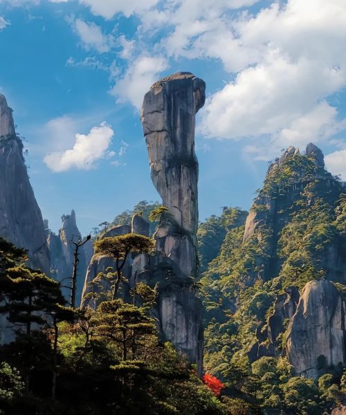 sanqing-mountain-giant-python.jpg