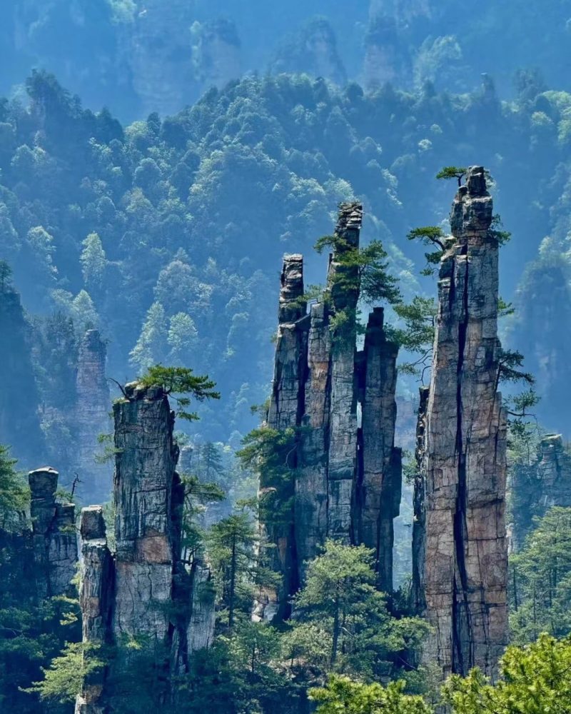 Tianzi Mountain sandstone peaks in Zhangjiajie National Forest Park