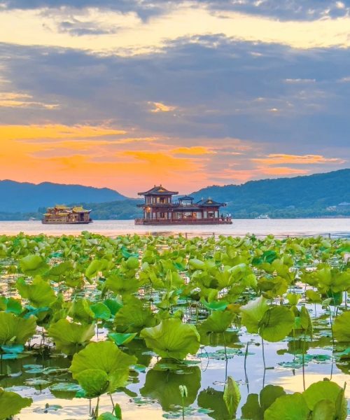 Lotus leaves floating on West Lake with sunset sky and ancient-style boats in the distance.
