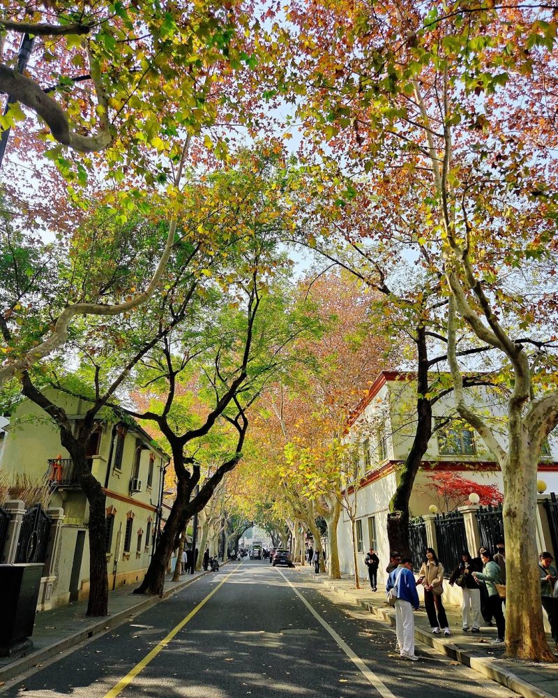 Wukang Road, Shanghai