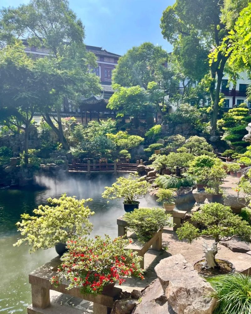 Pond and rockery scenery inside Yuyuan Garden in Shanghai, with traditional pavilions and bonsai plants.
