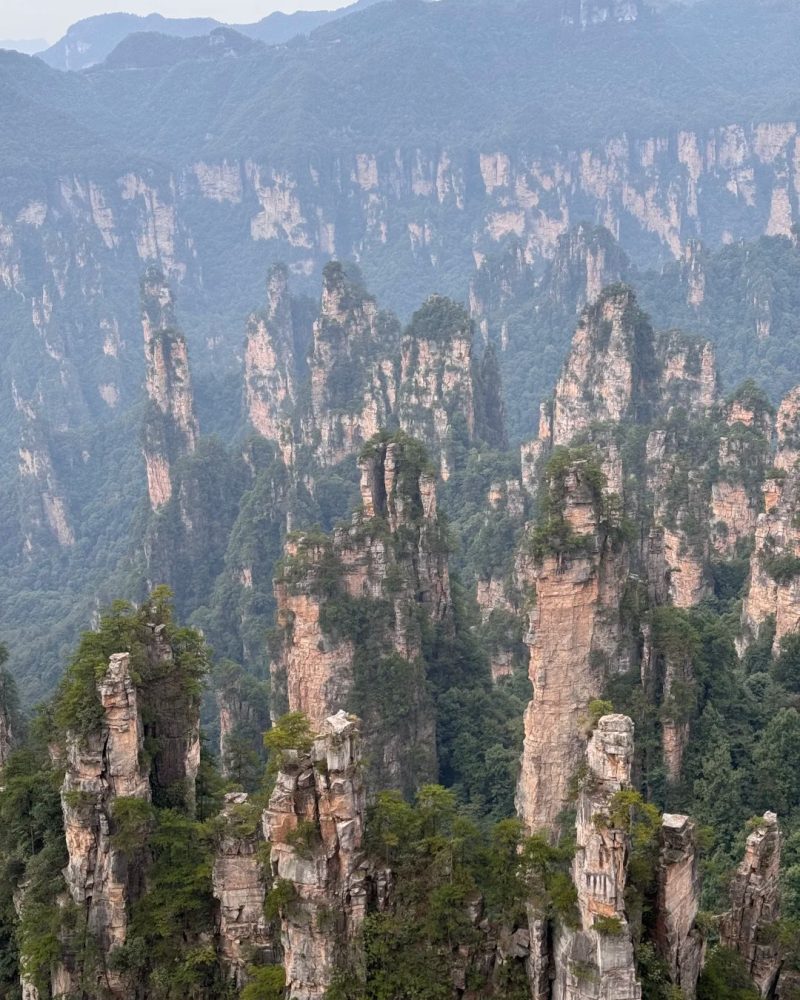Huangshizhai panoramic view in Zhangjiajie National Forest Park