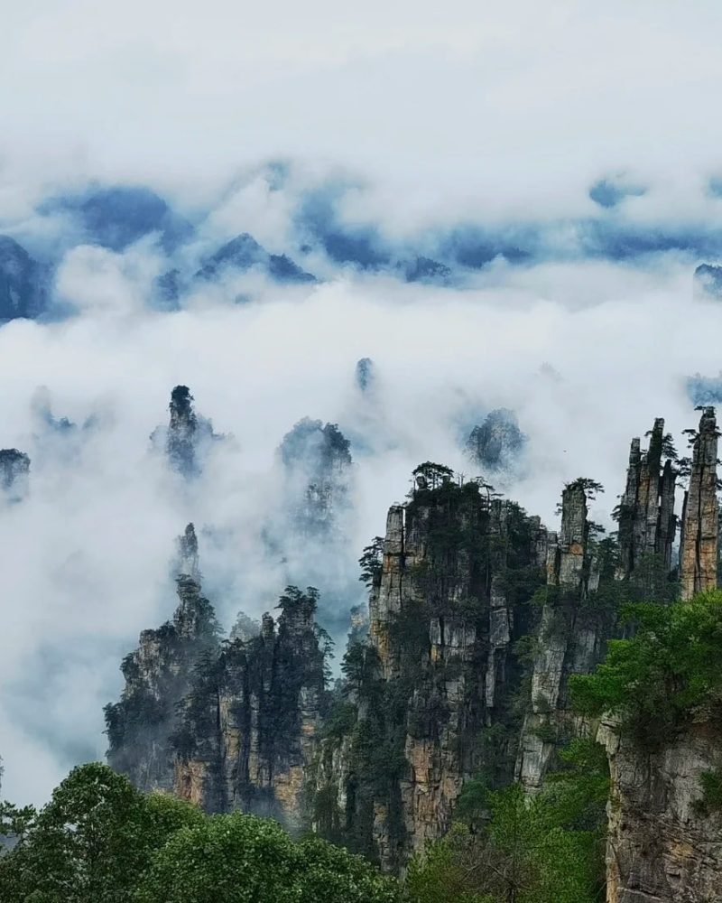 Zhangjiajie National Forest Park sandstone pillars rising through clouds